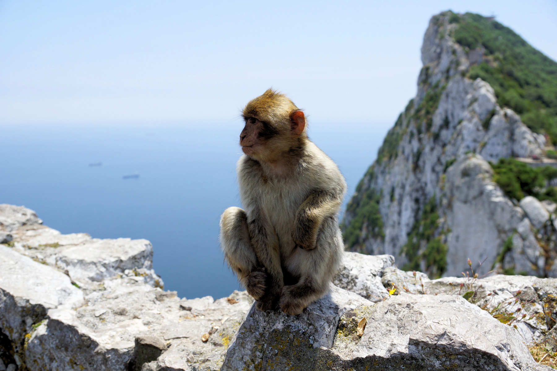 Must See Attractions in Gibraltar